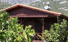 Ikiz Villas